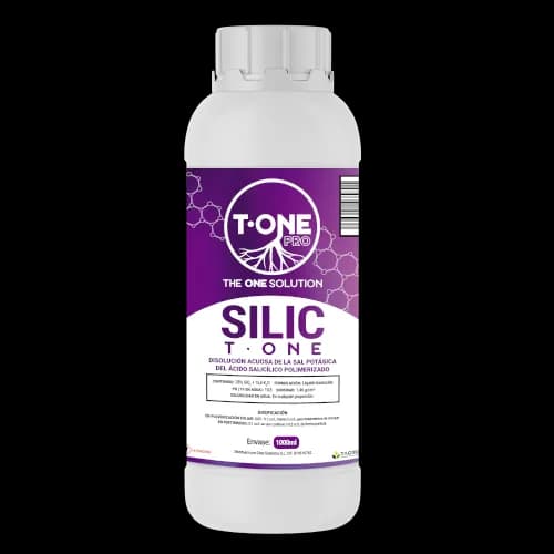 Silizium